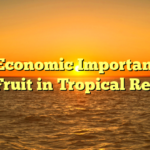 The Economic Importance of Star Fruit in Tropical Regions